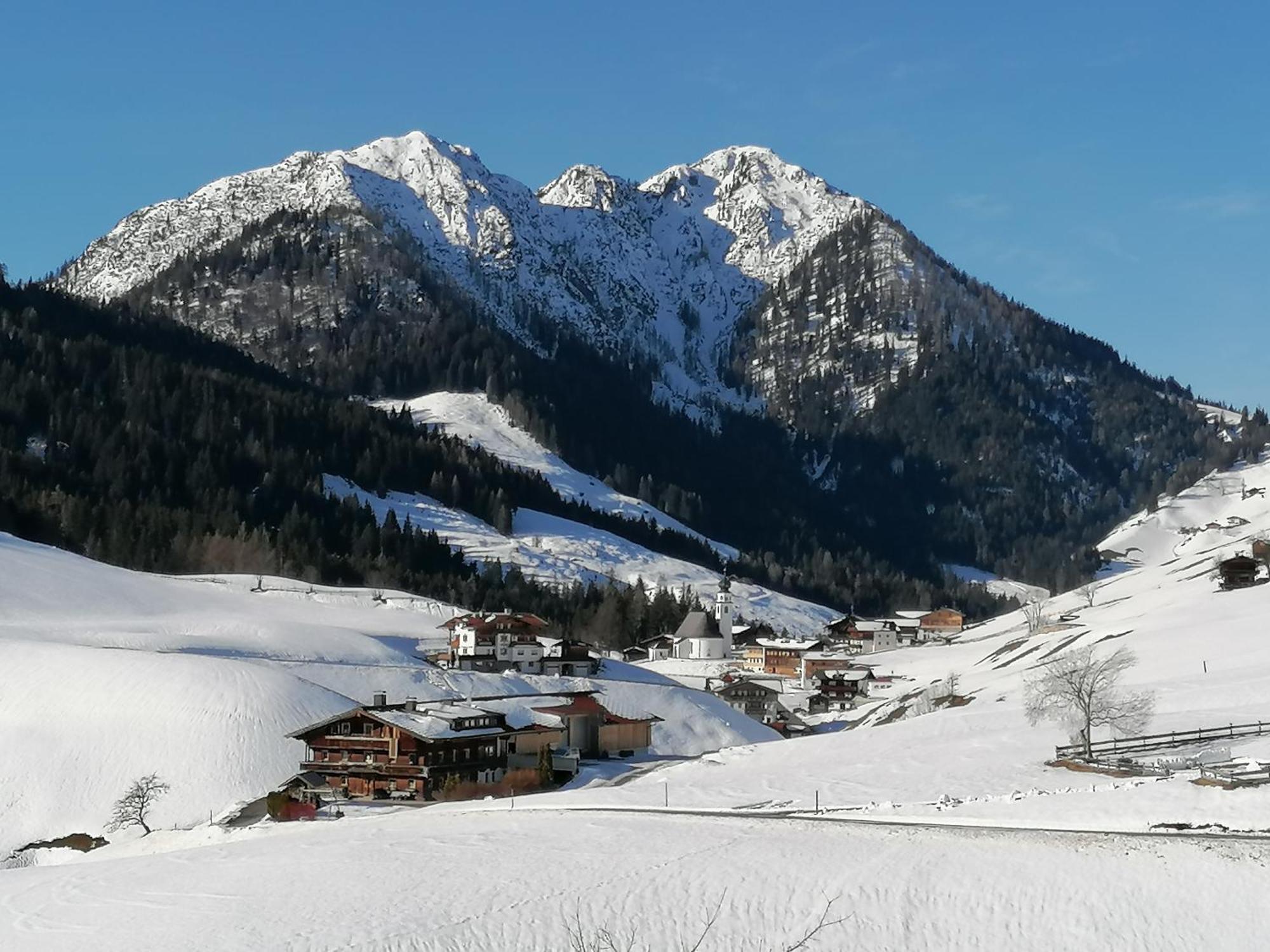 Wimmers Hundsegghof Wild001 Niederau Exterior foto