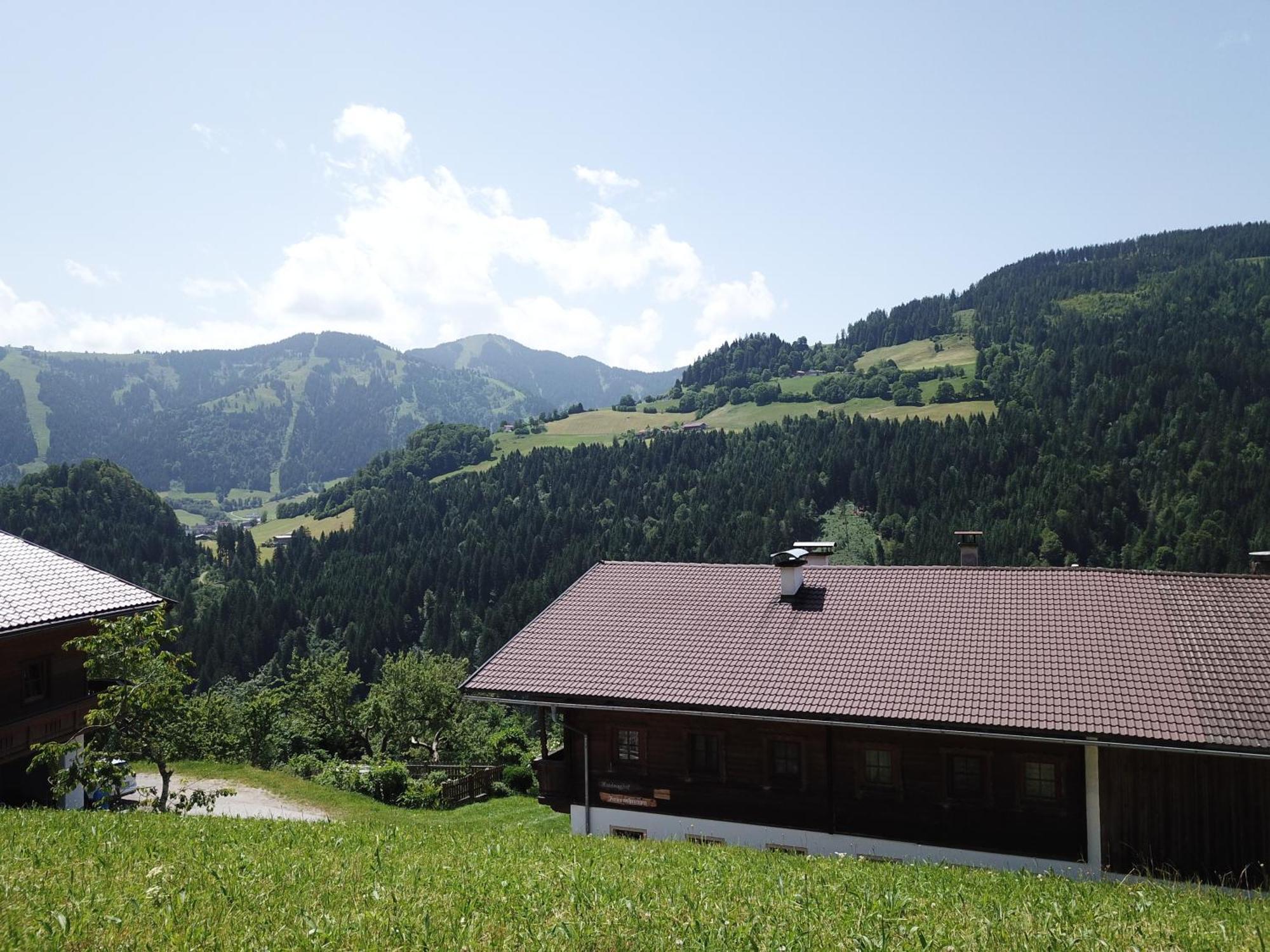 Wimmers Hundsegghof Wild001 Niederau Exterior foto