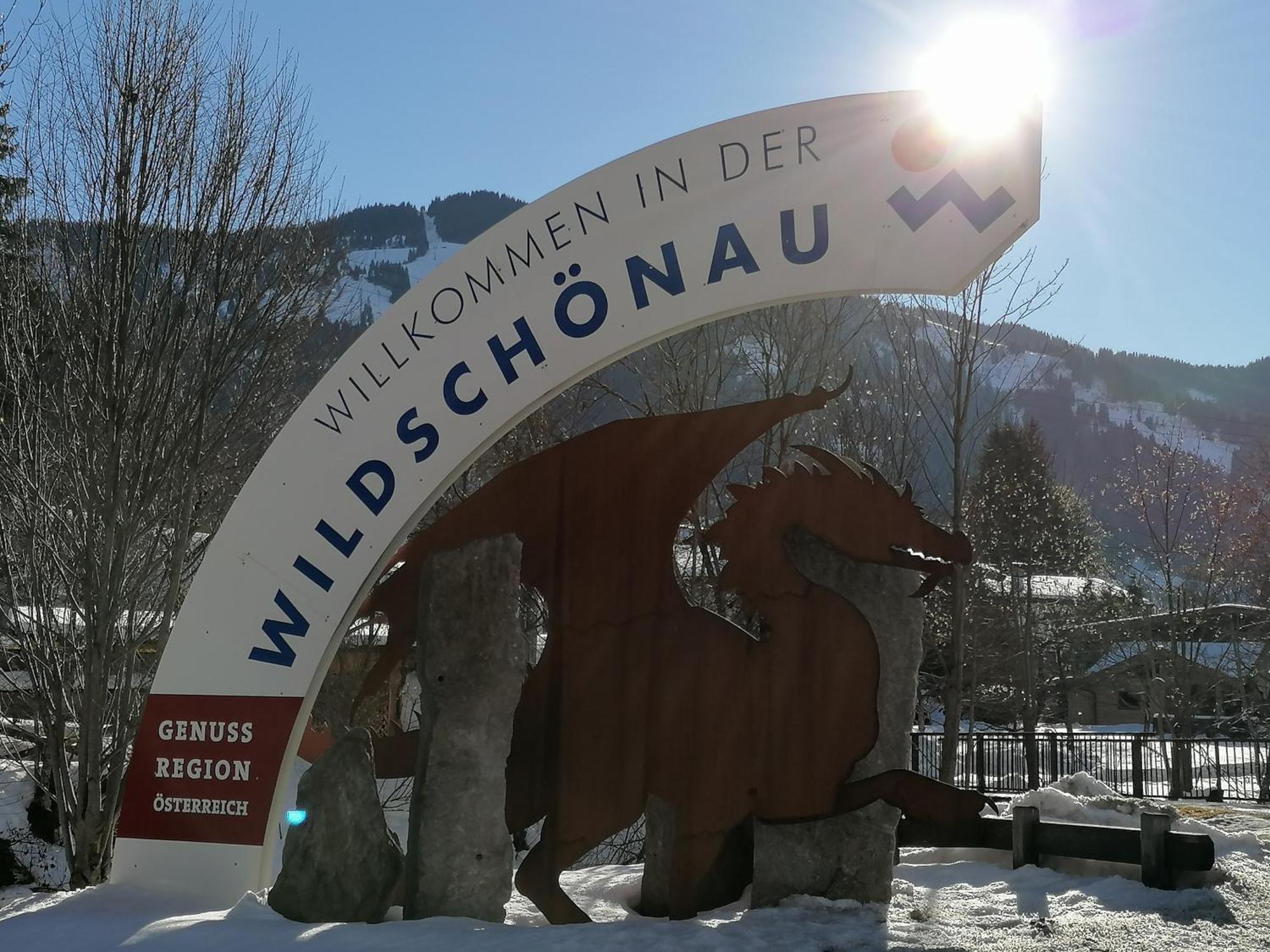 Wimmers Hundsegghof Wild001 Niederau Exterior foto